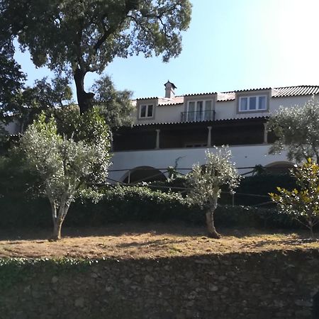 Villa Casa Ribeira De Pera Castanheira de Pera Exterior foto